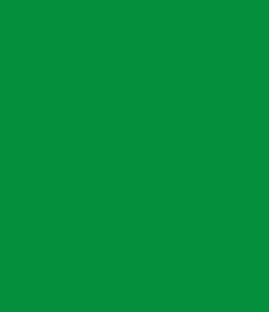 Forest Color