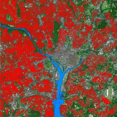 Washington Metro Area Privatized Green Space