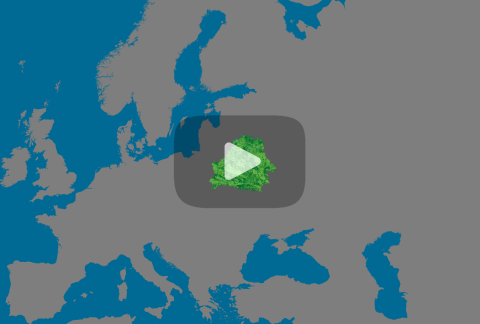 Zoom Video Thumbnail